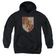 GRYFFINDOR SHIELD CREST on Sale