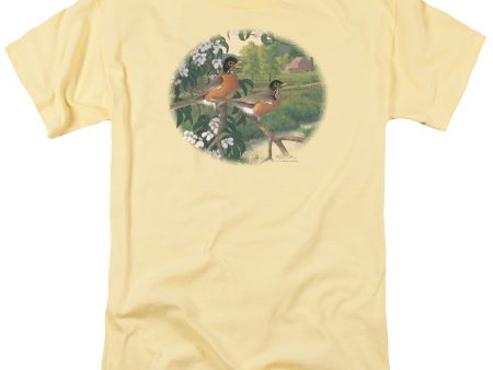 WILDLIFE : APPLE BLOSSOM TIME ROBINS S\S ADULT 100% COTTON 18\1 T-SHIRT BANANA XL Online now