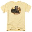 WILDLIFE : PICTURE PERFECT DACHSHUNDS S\S ADULT 100% COTTON 18\1 T-SHIRT BANANA XL For Sale