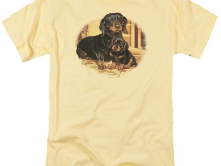 WILDLIFE : PICTURE PERFECT DACHSHUNDS S\S ADULT 100% COTTON 18\1 T-SHIRT BANANA XL For Sale