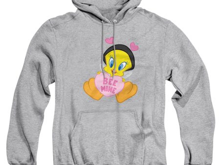 VALENTINE S DAY TWEETY BEE MINE For Sale