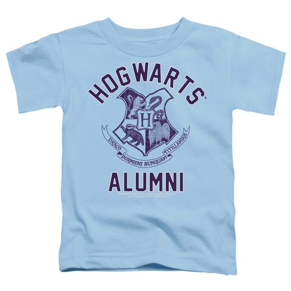 HOGWARTS ALUMNI 1 Online now