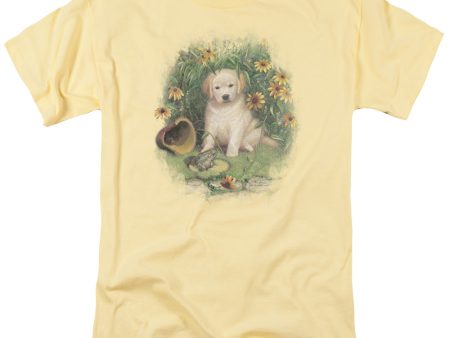 WILDLIFE : A PRINCE PERHAPS YELLOW LAB S\S ADULT 100% COTTON 18\1 T-SHIRT BANANA XL on Sale