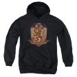 GRYFFINDOR QUIDDITCH SHIELD LOGO Hot on Sale