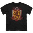 GRYFFINDOR QUIDDITCH SHIELD LOGO Hot on Sale