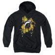 URBAN ELEGANCE HUFFLEPUFF BADGER For Sale